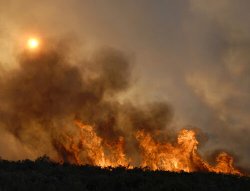 Wildfire Safety