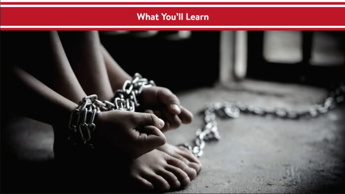 Human Trafficking - General - Image 3